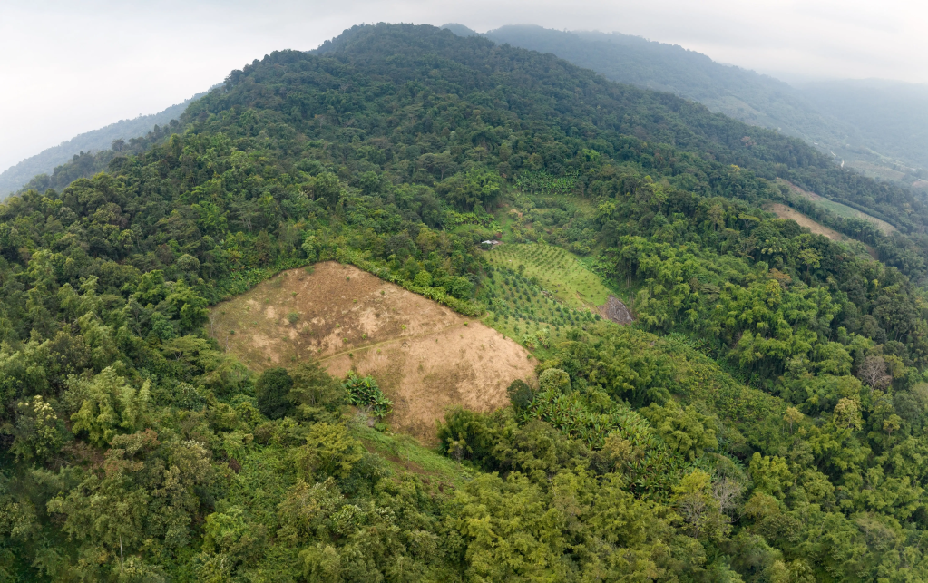 Biodiversity in Sports: How the Sports Industry Can Contribute