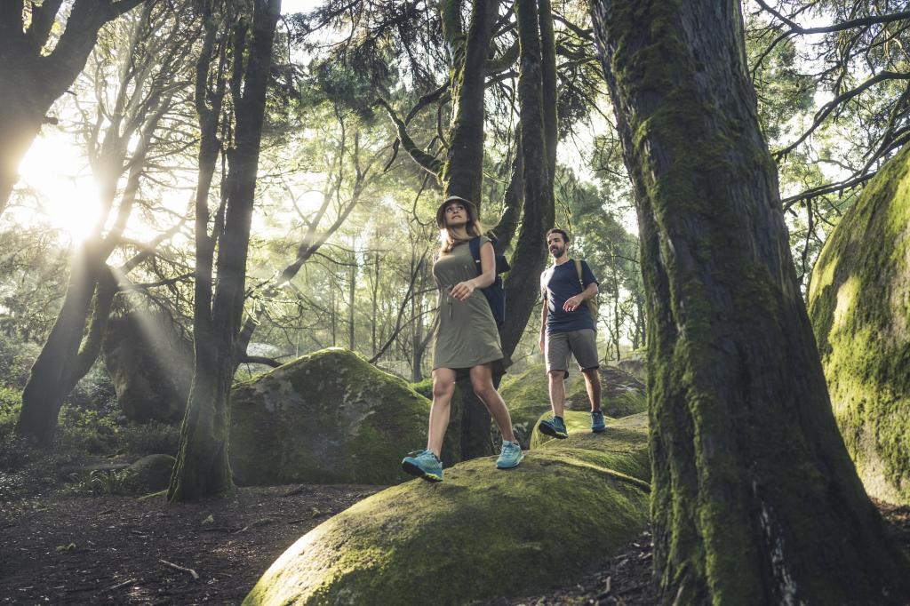 5 theses on why sustainability benefits from sport