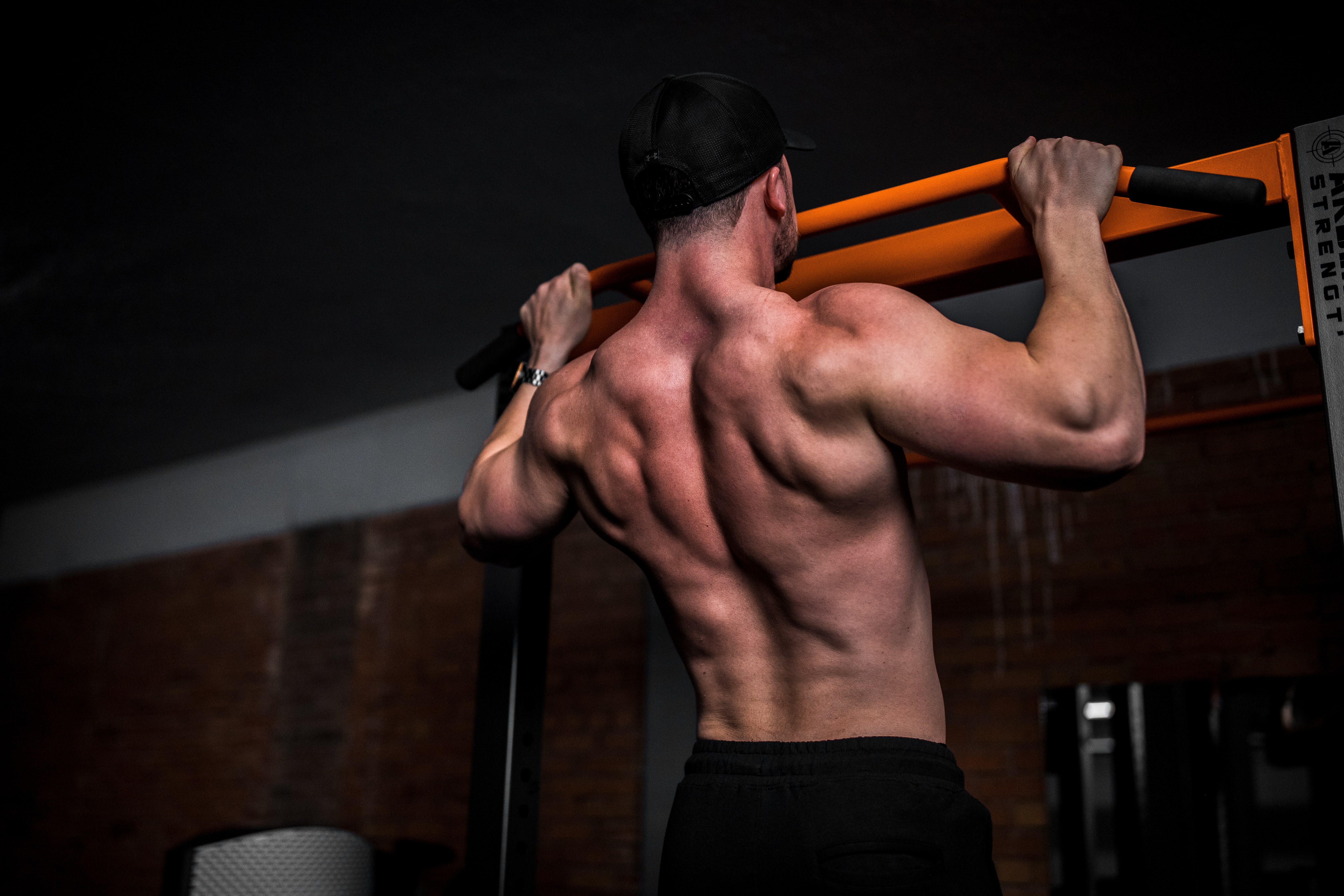 Back Workouts - Best Exercises for Muscle and Strength