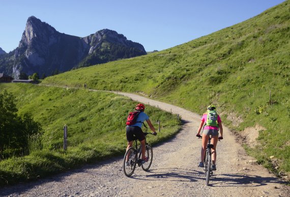The ascent to the Col de la Forclaz is perfect for gravel bikes. The ascent to the Col de la Forclaz is perfect for gravel bikes.