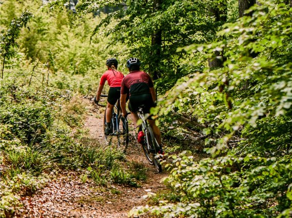 A touring bike with extremely sporty and off-road ambitions.