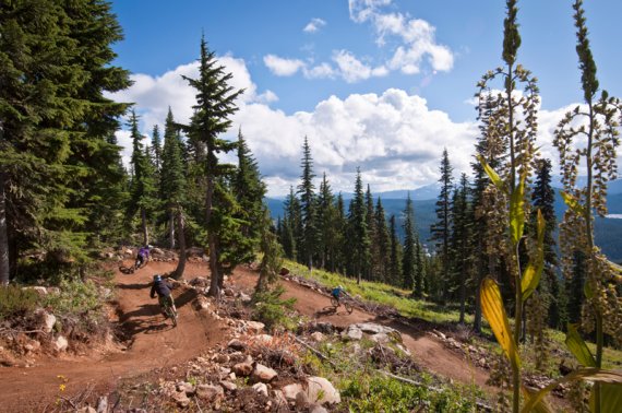 mount washington bike park