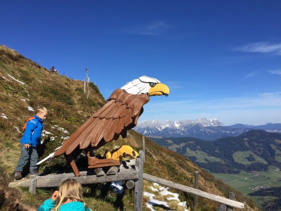 Do you really need the fake eagle if you are out in nature anyway?