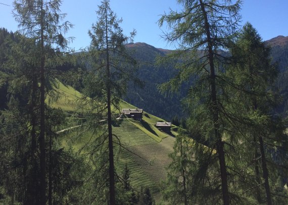 Bergbauernidylle in Osttirol.