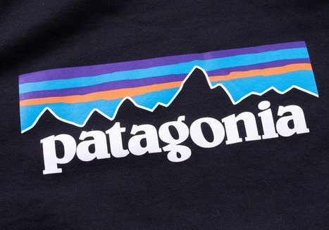 Less Money for More Environmental Protection - Patagonia Stops ...
