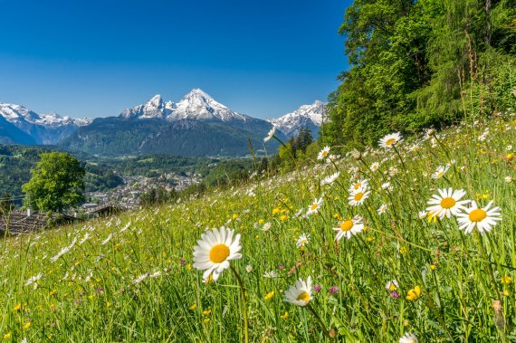 Trekking in den bayerischen Alpen, den Watzmann im Blick