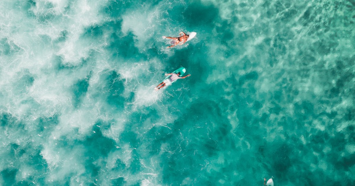 Boardsports on the rise: highlights of the Surf Summit 2023