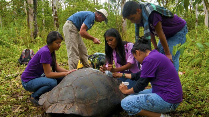 Lokales Jugendprojekt: Schutz der Galapagos Riesenschildkröte