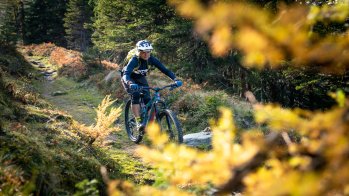 Credit: Christoph Oberschneider This is how ski training is fun: Sandra Lahnsteiner biking in Gastein. Endurance is immensely important in skiing and even reduces the risk of injury, according to the freerider.
