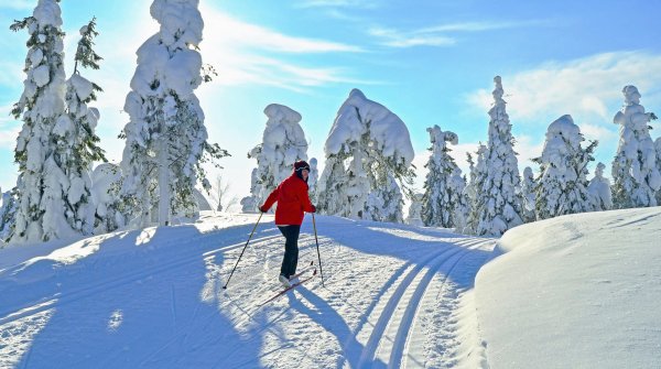 Langlauf-Paradies: Auf Skiern durch den tief verschneiten Winterwald 